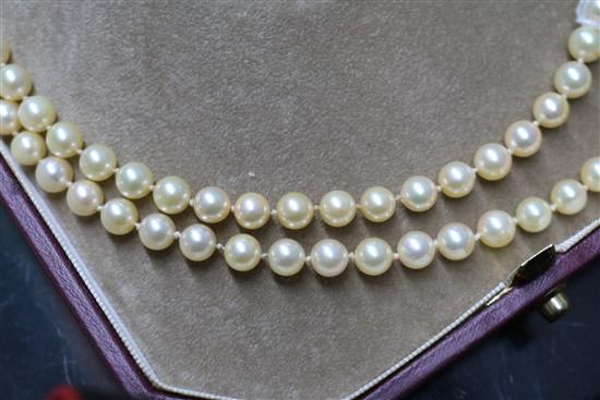 A Mikimoto pearl single strand long necklace with gold ball clasp (tests as 18ct) in Mikimoto box, 50 cm.